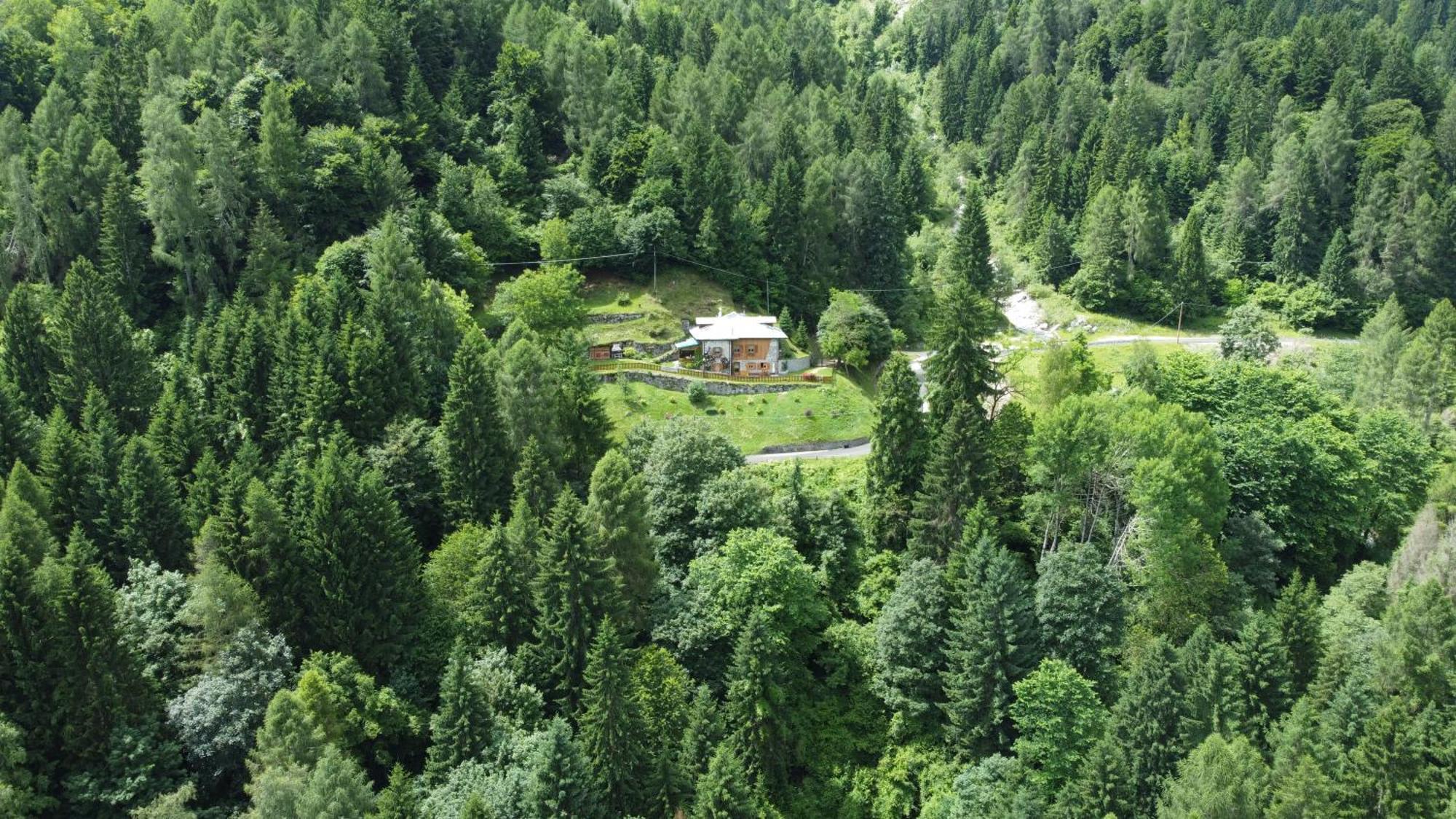 Maso Moretto Pieve Tesino Buitenkant foto